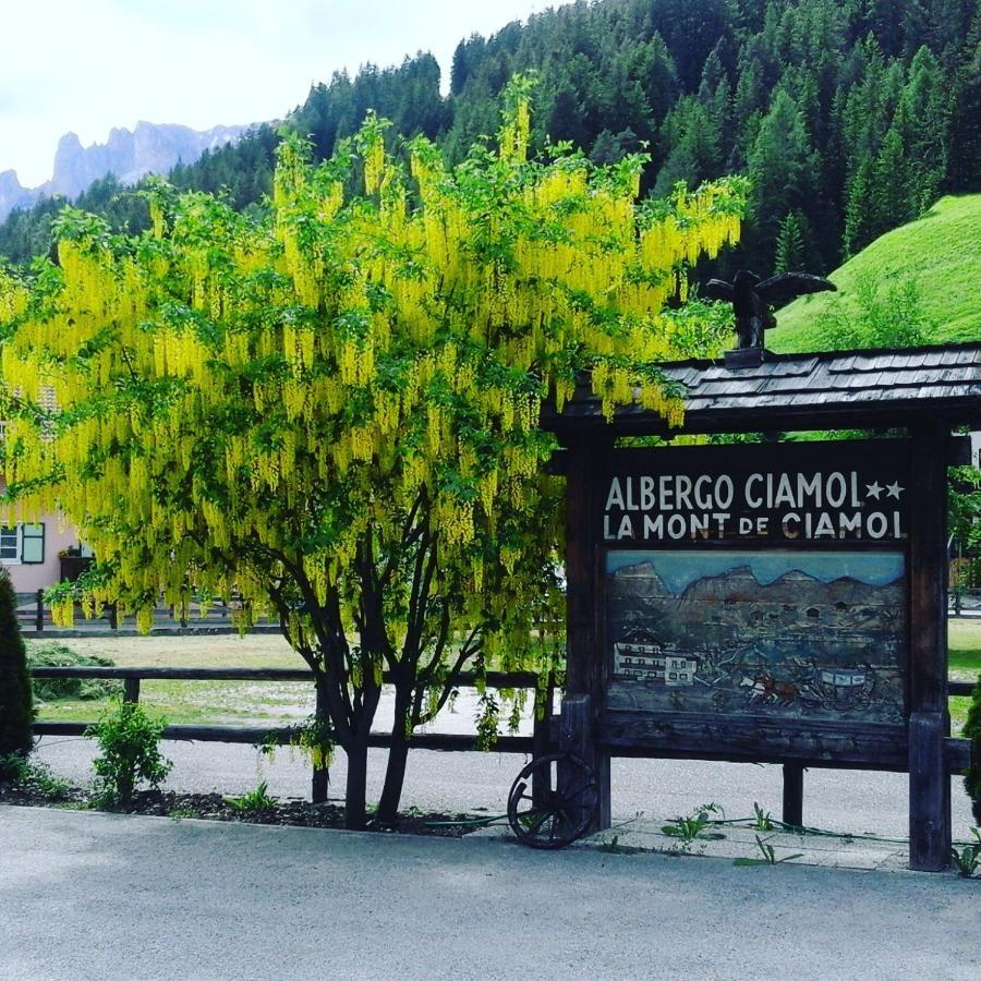 Hotel Ciamol Campitello di Fassa Luaran gambar